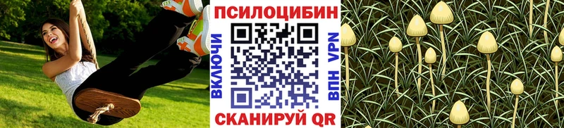 Псилоцибиновые грибы Magic Shrooms  МЕГА зеркало  Поронайск 